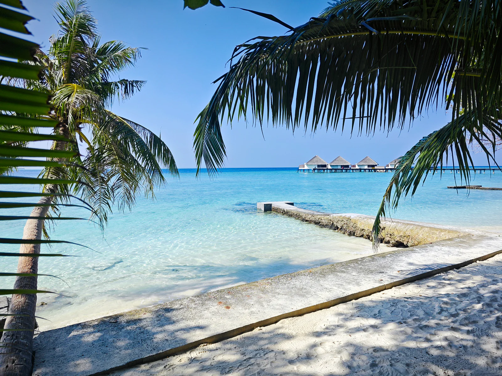 Malediveninsel mit Wasserbungalows und tropischem Strand